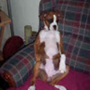 Meet your Posher, Annette